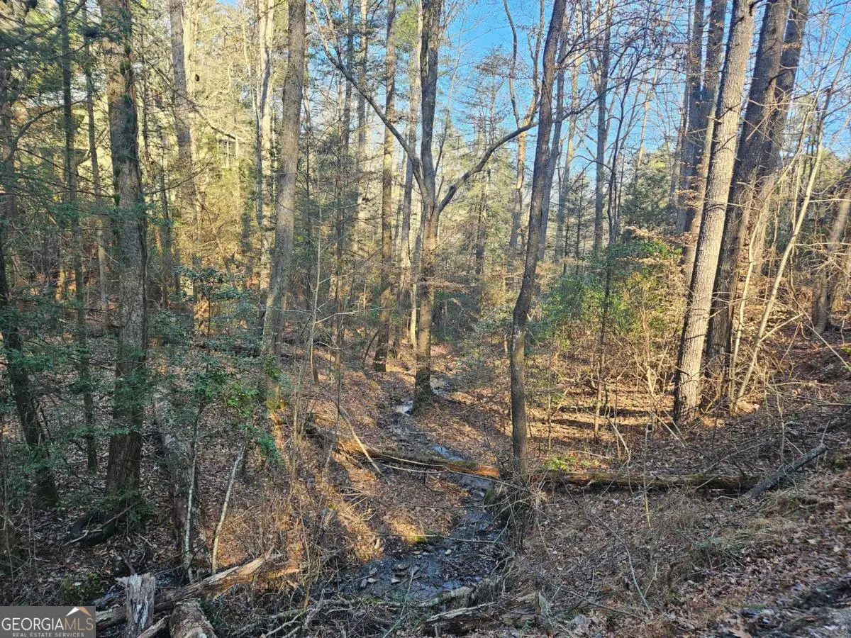 LT 1620 Nexus Drive, Ellijay, GA 30540 - #1