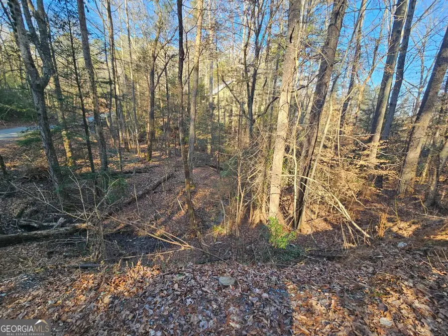 LT 1620 Nexus Drive, Ellijay, GA 30540 - #2
