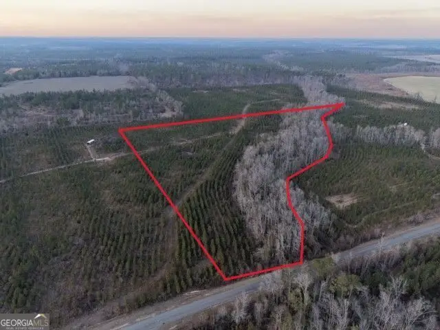 4 Powell School Road, Lumber City, GA 31549 - #1