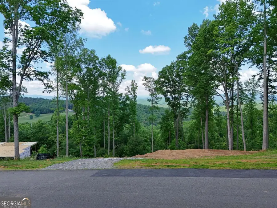 LOT 139 Winding Ridge, Blairsville, GA 30512 - #2