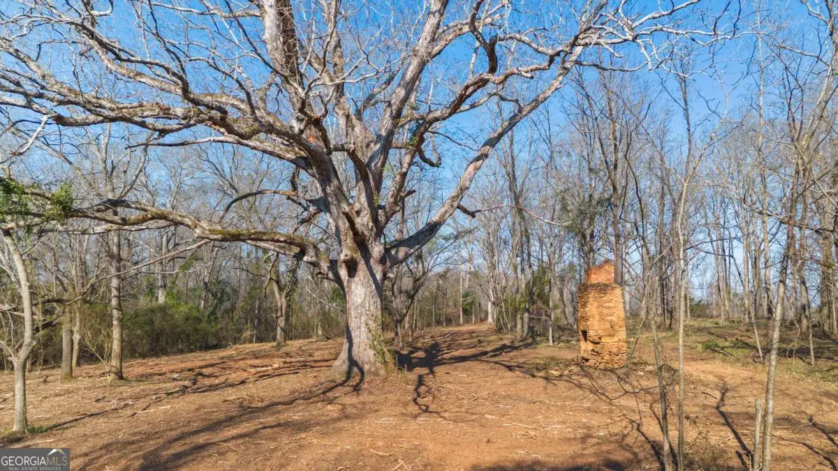 0 Winford Smith Road #1, Athens, GA 30607 - Image #1