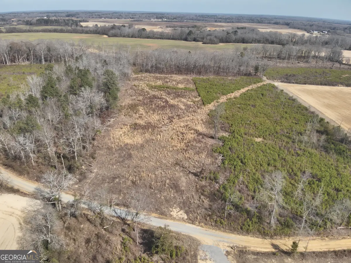 1221 Woodland Road, Jeffersonville, GA 31044 - #1