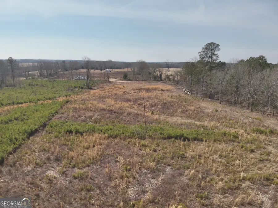 1221 Woodland Road, Jeffersonville, GA 31044 - #2