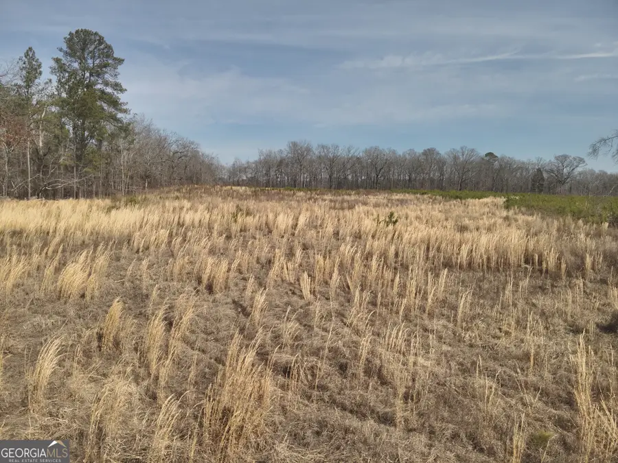 1221 Woodland Road, Jeffersonville, GA 31044 - #3