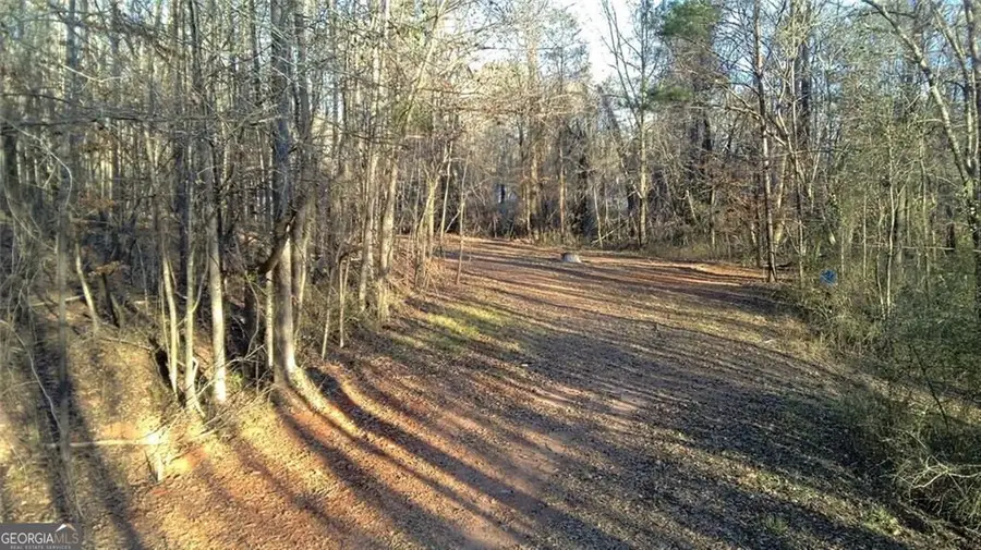 0 Collier Street Sw, Covington, GA 30014 - #3