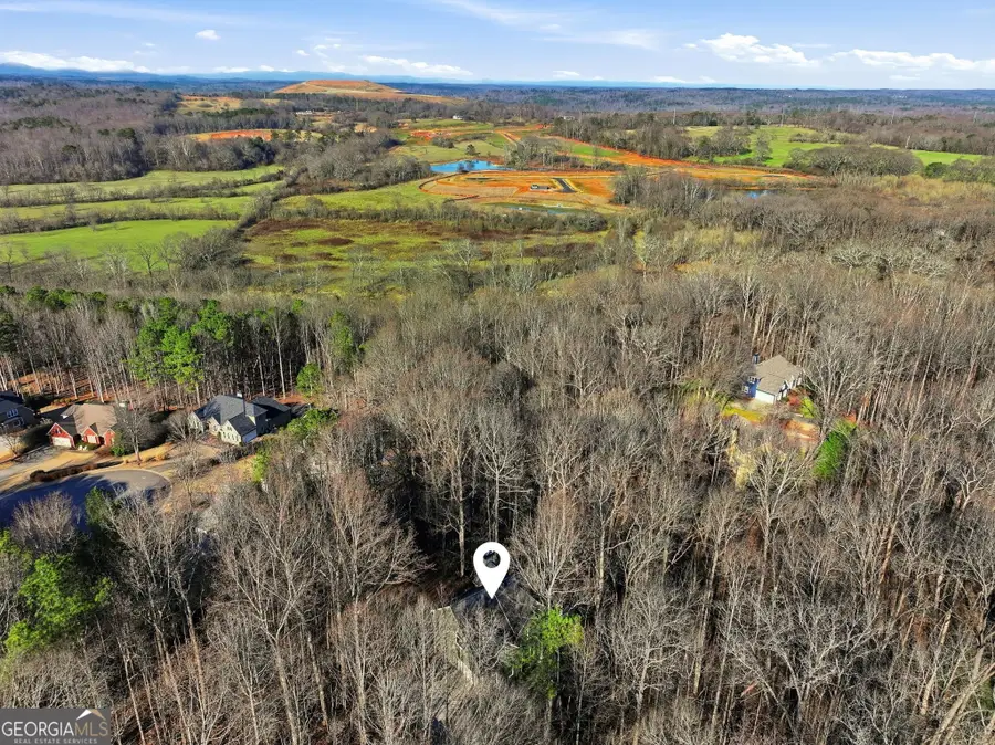 9240 Old Preserve Trail, Ball Ground, GA 30107 - #3