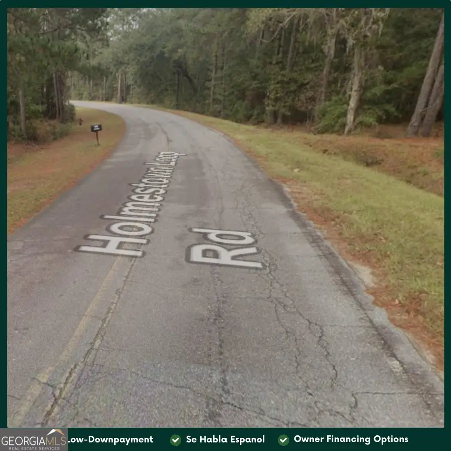 909 Holmestown Loop Road, Midway, GA 31320 - #2