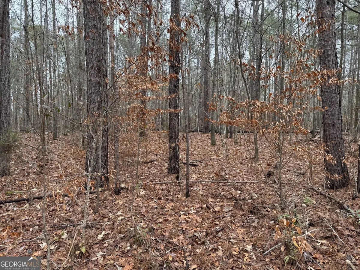 0 Thomas Drive, Eatonton, GA 31024 - #1