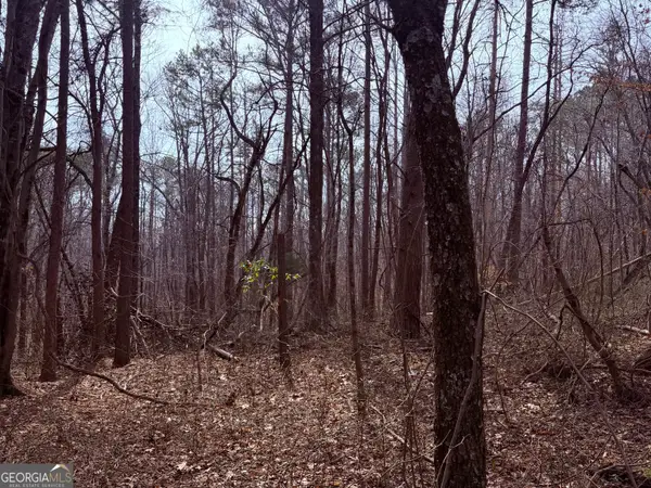 967 Old Highway 100, Waco, GA 30182