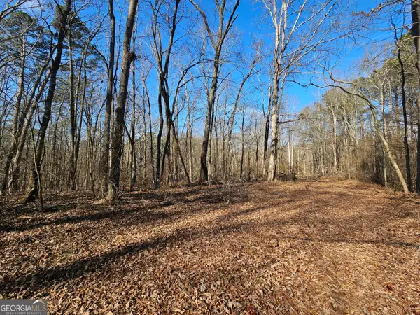 LOT 1 Manning Gin Road, Winder, GA 30680