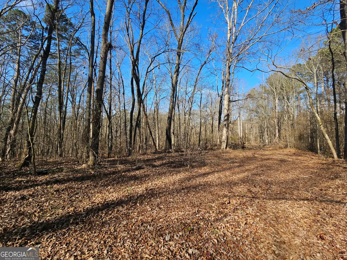 LOT 2 Manning Gin Road, Winder, GA 30680 - Image #1