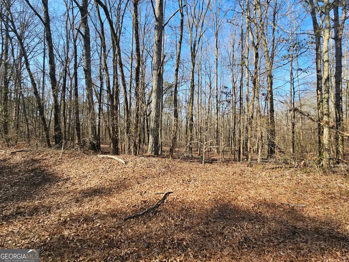 LOT 3 Manning Gin Road, Winder, GA 30680 - Image #1
