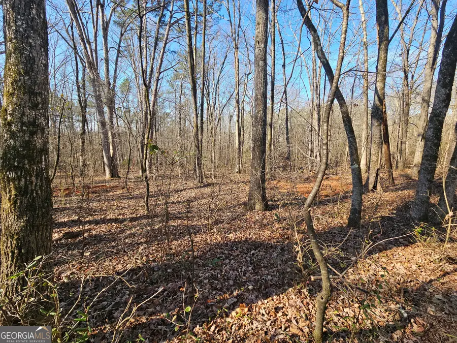 LOT 4 Manning Gin Road, Winder, GA 30680 - Image #2