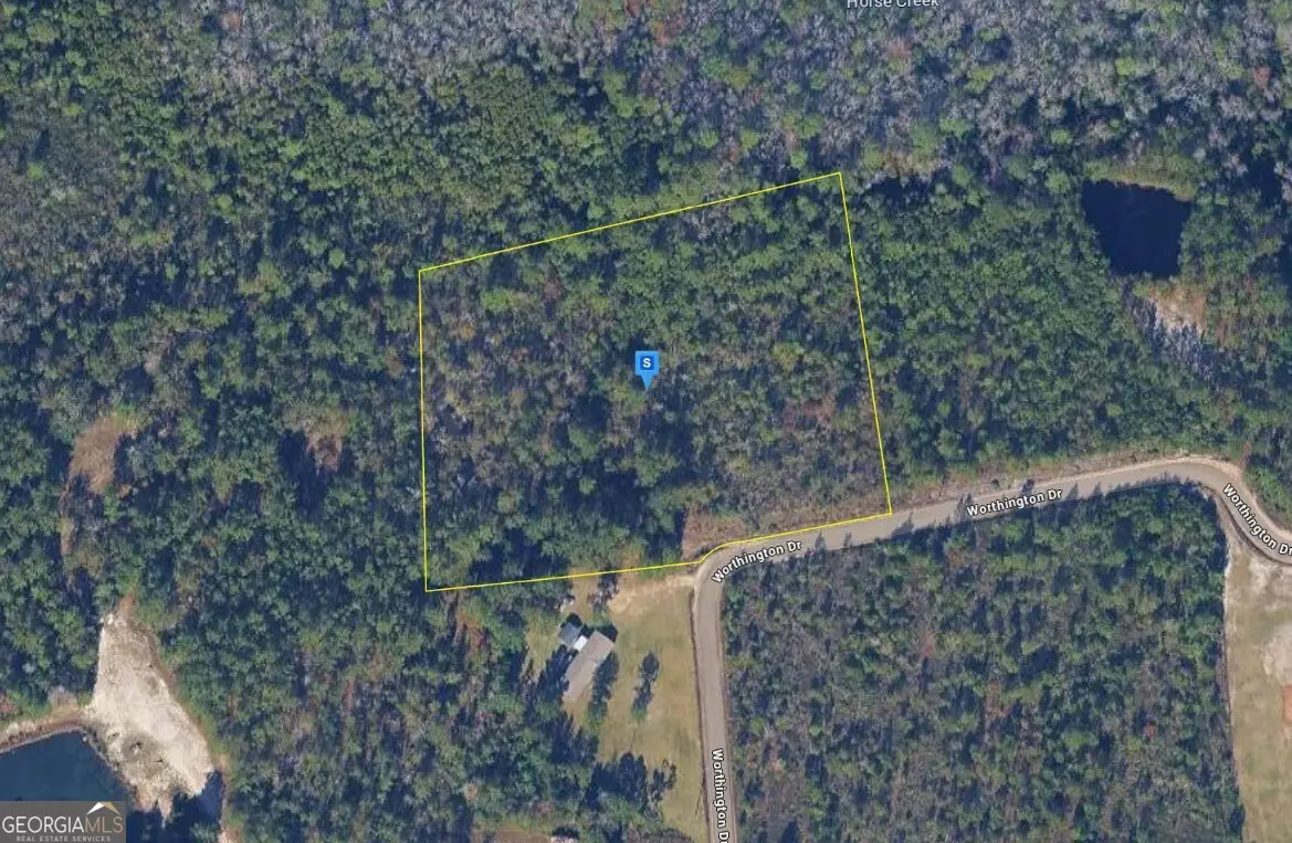 305 Worthington Dr,, Ludowici, GA 31316 - #1