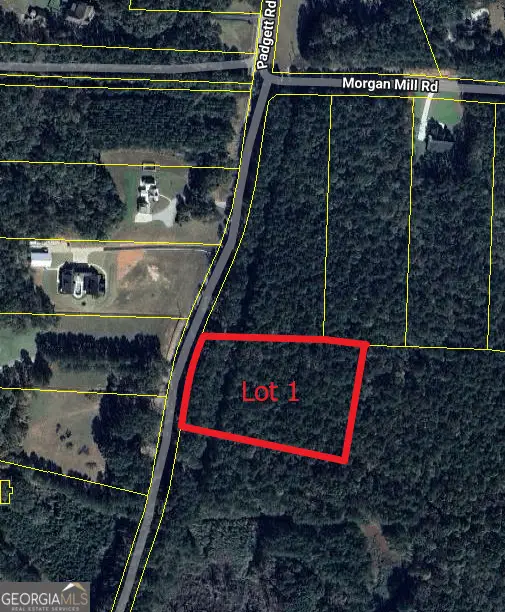 0 Padgett Road #LOT 1, Senoia, GA 30276 - #1