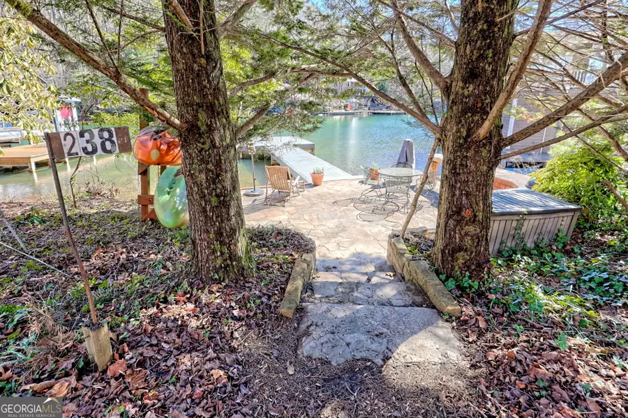 254 & 238 Fulton Road, Tiger, GA 30576 - #2