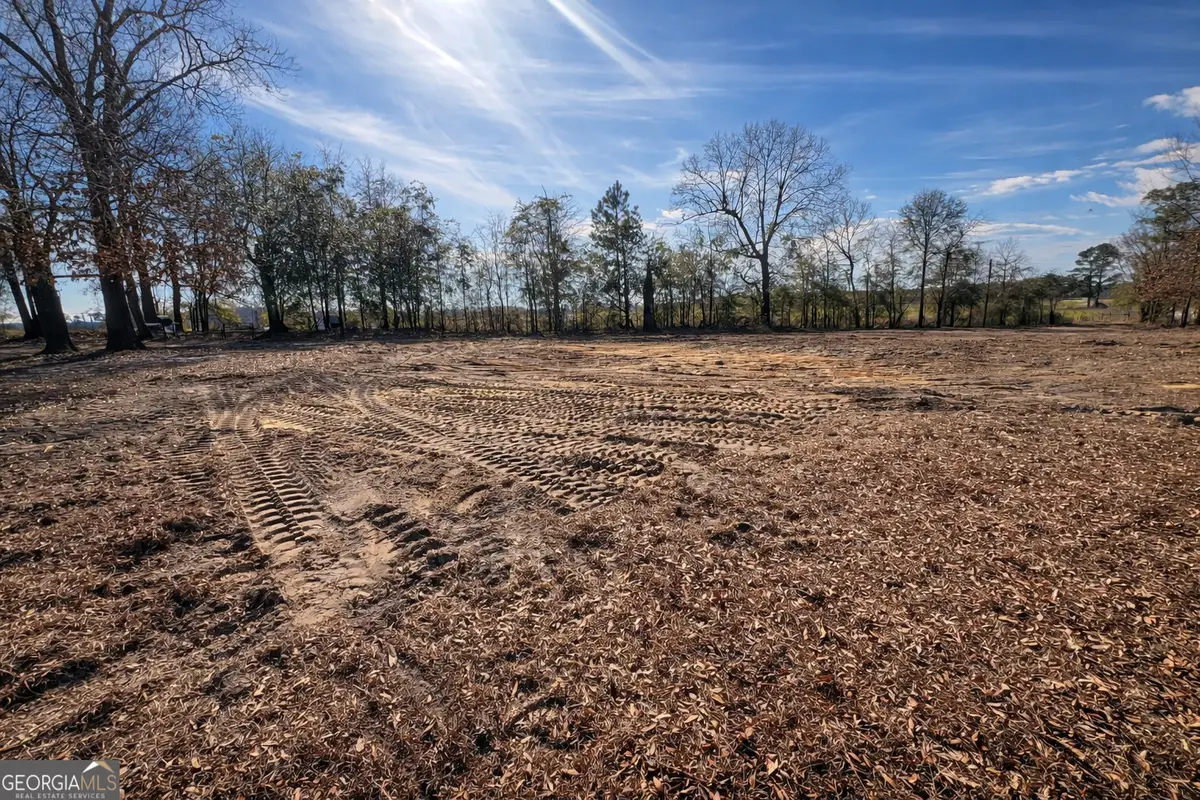4539 Lewis Church Road, Millen, GA 30442 - #1