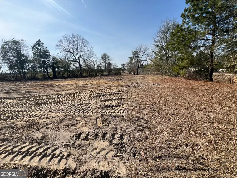 4539 Lewis Church Road, Millen, GA 30442 - #2