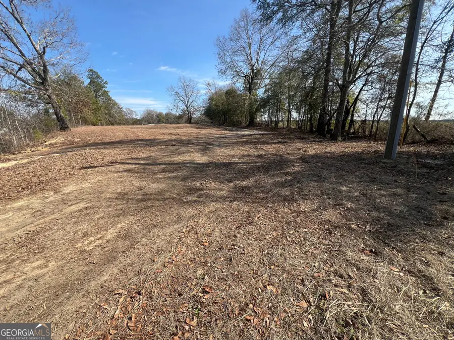 4539 Lewis Church Road, Millen, GA 30442 - #3