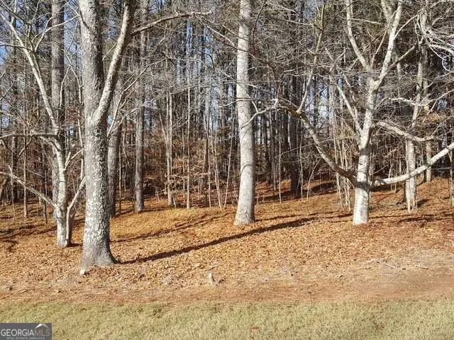 104 Hawks Court, Ball Ground, GA 30107 - #1