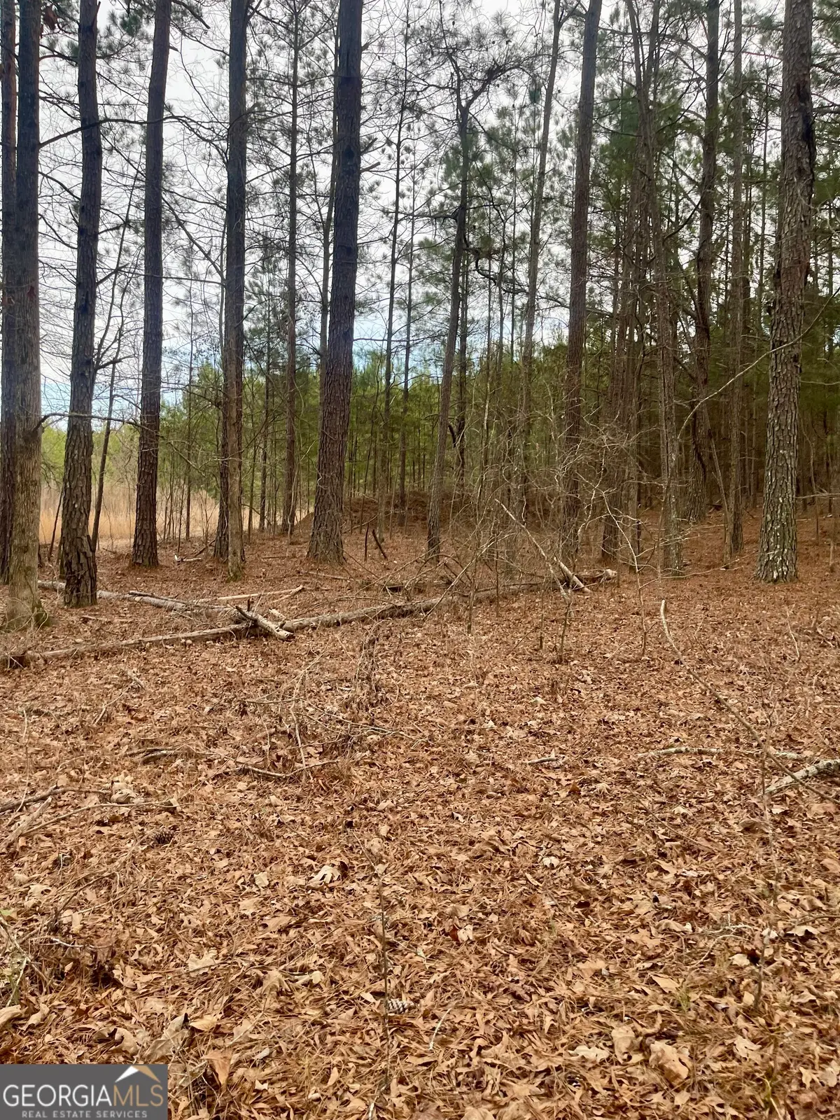 0 Padgett Road #LOT 3, Senoia, GA 30276 - #1