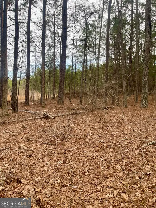 0 Padgett Road #LOT 3, Senoia, GA 30276