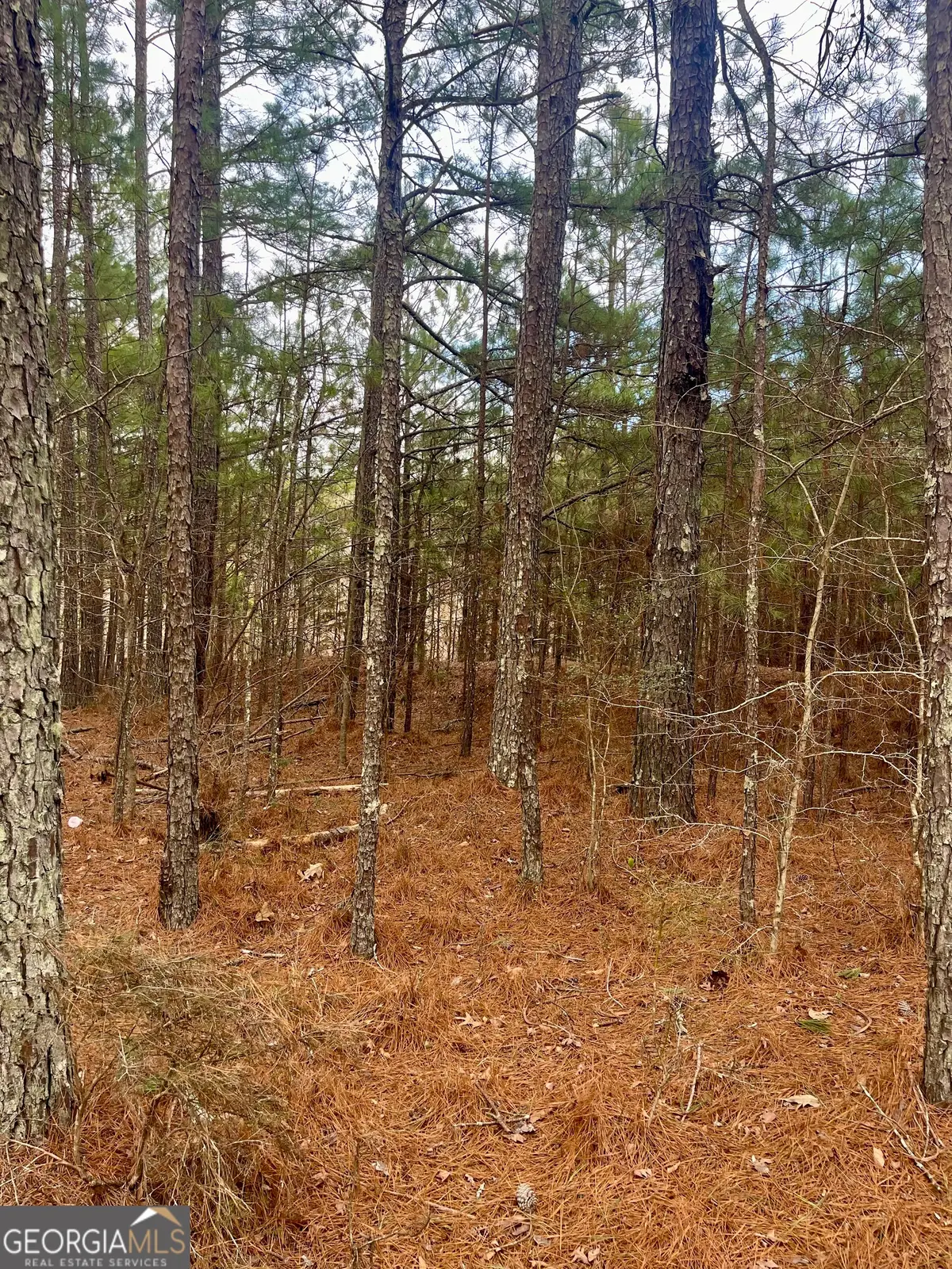 0 Padgett Road #LOT 4, Senoia, GA 30276 - #1
