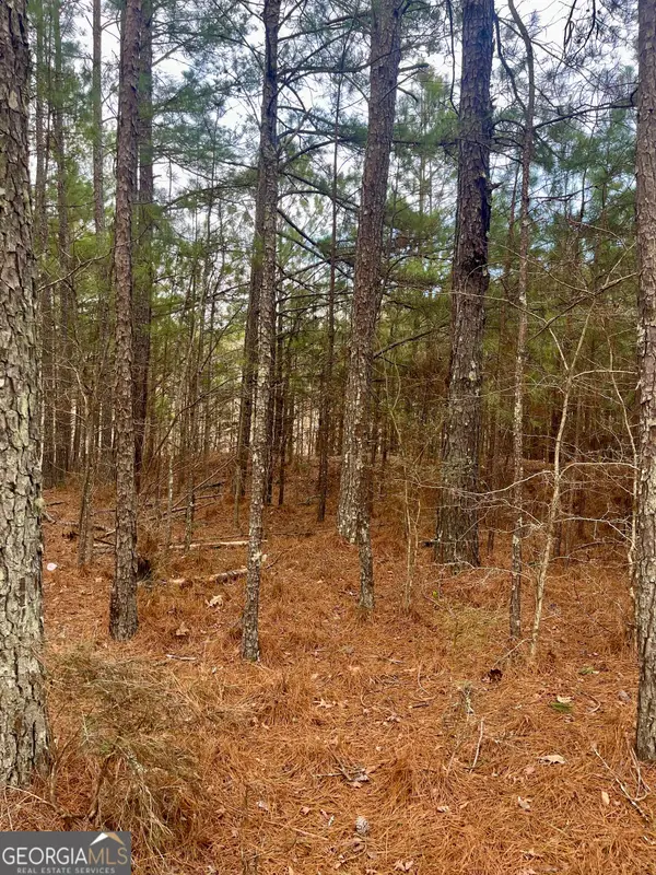 0 Padgett Road #LOT 4, Senoia, GA 30276