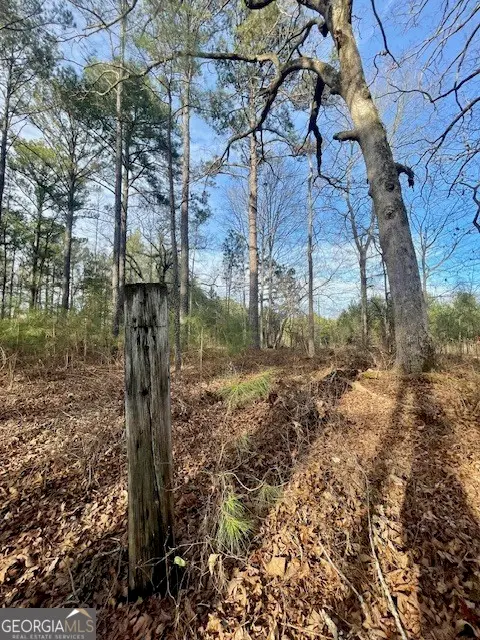 0 Padgett Road #LOT 5, Senoia, GA 30276