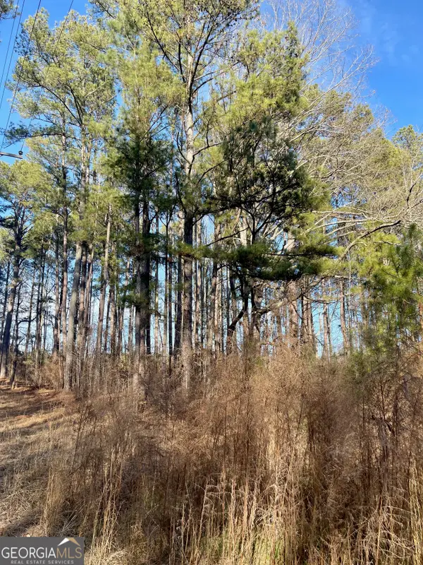 0 Padgett Road #LOT 6, Senoia, GA 30276