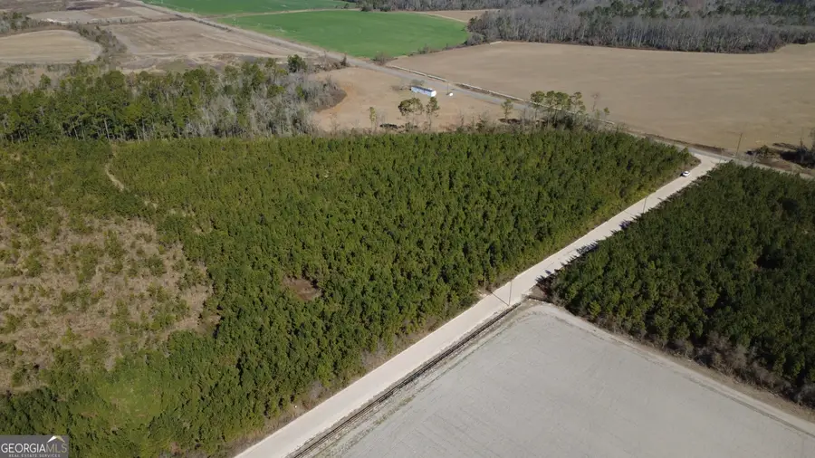 TRACT 1 Greyhound Road, Mershon, GA 31551 - #2