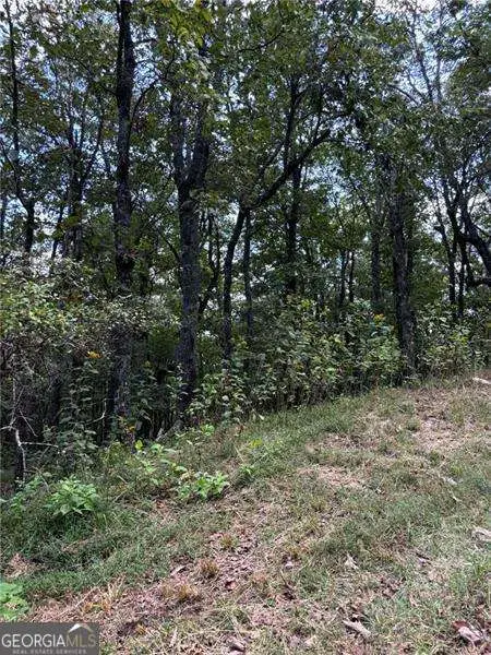 0 Little Hendricks Mountain, Jasper, GA 30143 - #1