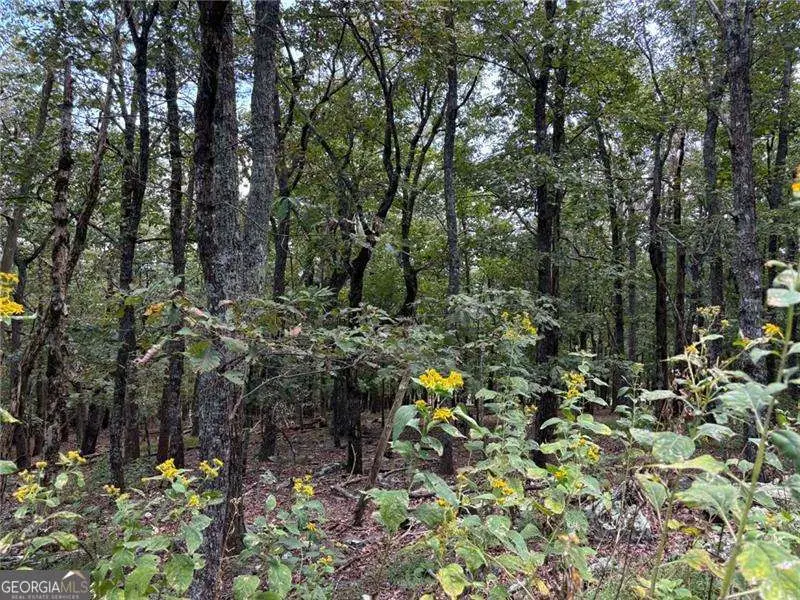 0 Little Hendricks Mountain, Jasper, GA 30143 - #2