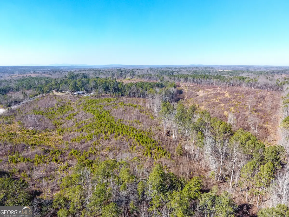 0 Steadman Road, Tallapoosa, GA 30176 - #1