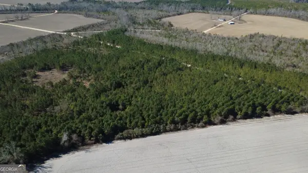 TRACT 3 Greyhound Road, Mershon, GA 31551