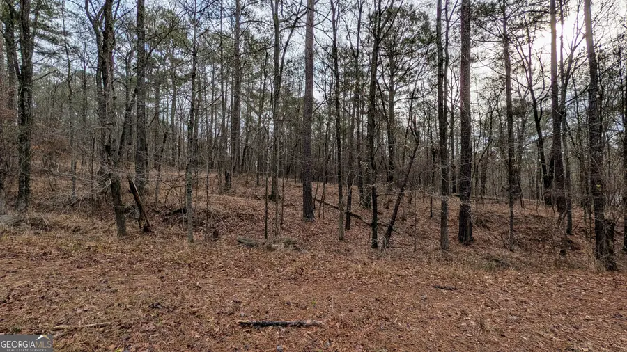 0 Highway 87, Macon, GA 31210 - #2