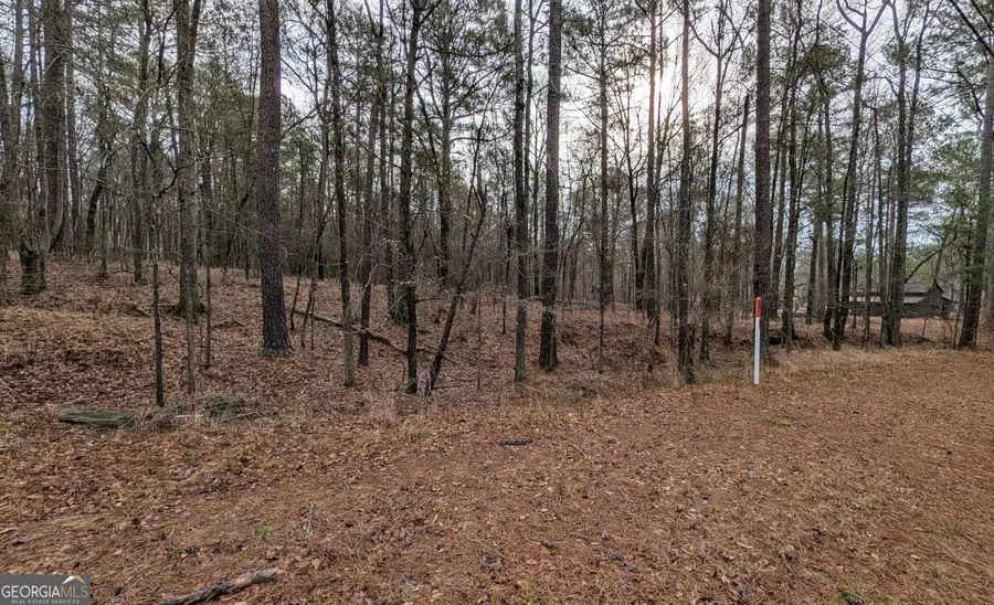 0 Highway 87, Macon, GA 31210 - #3