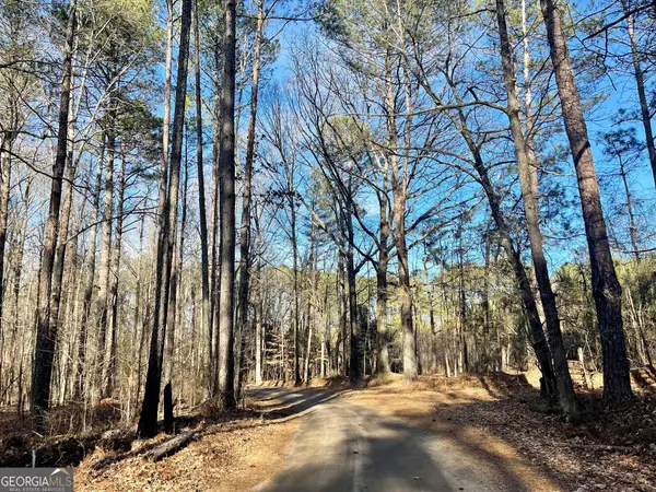 0 Padgett Road #LOT 7, Senoia, GA 30276
