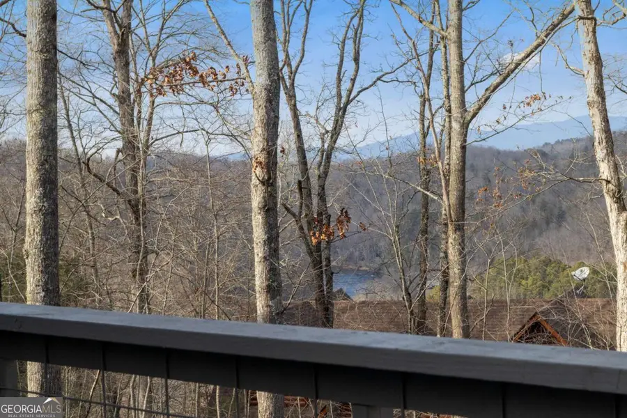 56 Robins Ridge #5A, 5AA, +, Blue Ridge, GA 30513 - #2