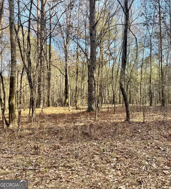 0 Padgett Road #LOT 8 FAYETTE PADGETT 14, Senoia, GA 30276