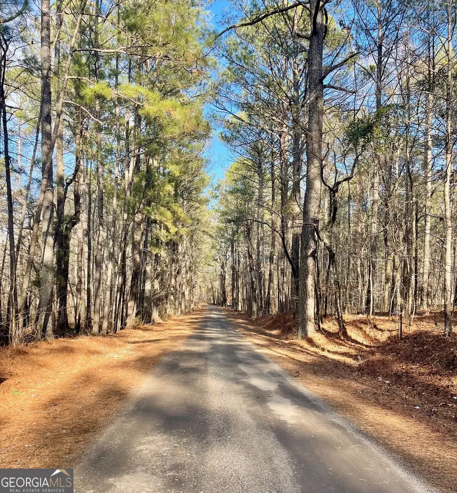 0 Padgett Road #LOT 9 FAYETTE PADGETT 14, Senoia, GA 30276 - #2