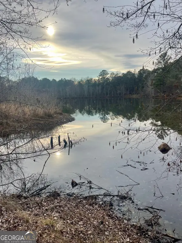 0 Padgett Road #LOT 10, Senoia, GA 30276