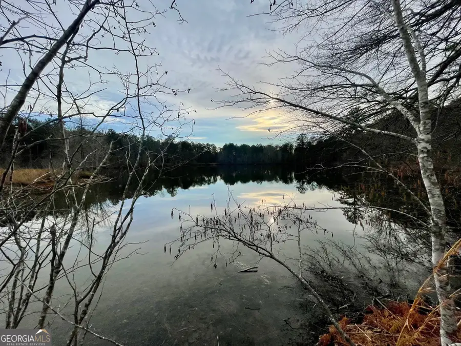 0 Padgett Road #LOT 11, Senoia, GA 30276 - #2