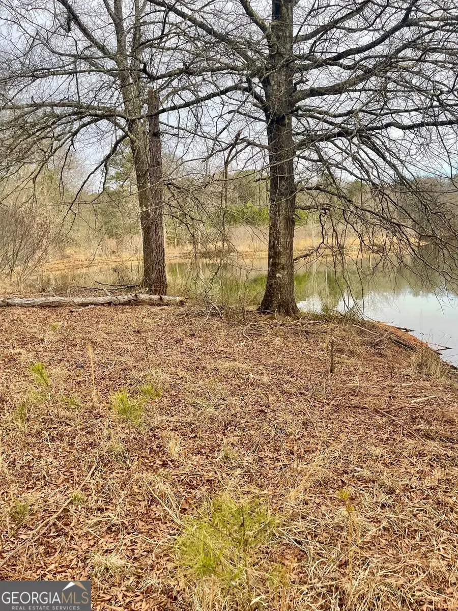 0 Padgett Road #LOT 11, Senoia, GA 30276 - #3