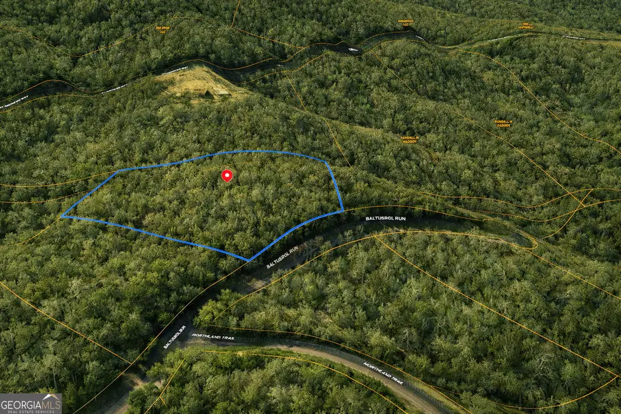 LOT 82 Baltusrol Run, Ellijay, GA 30536 - #2
