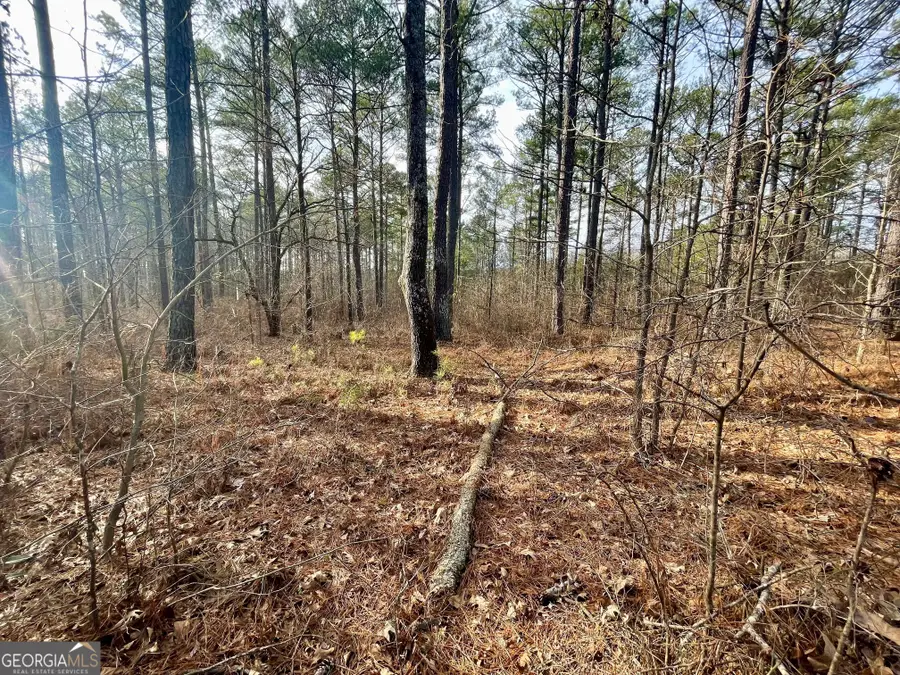 0 Padgett Road #LOT 12, Senoia, GA 30276 - #2