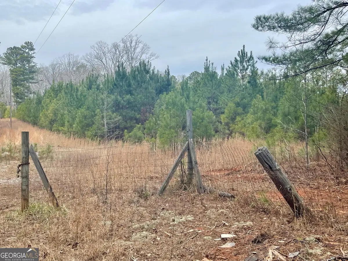 0 Padgett Road #LOT 13, Senoia, GA 30276 - #1