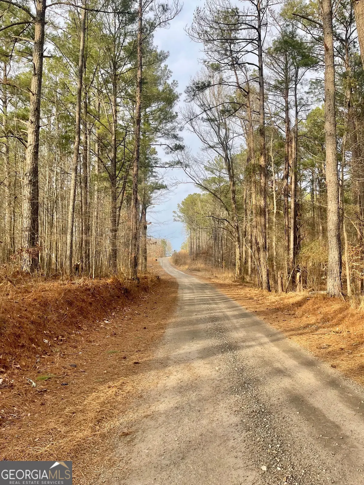 0 Padgett Road #LOT 14, Senoia, GA 30276 - #1