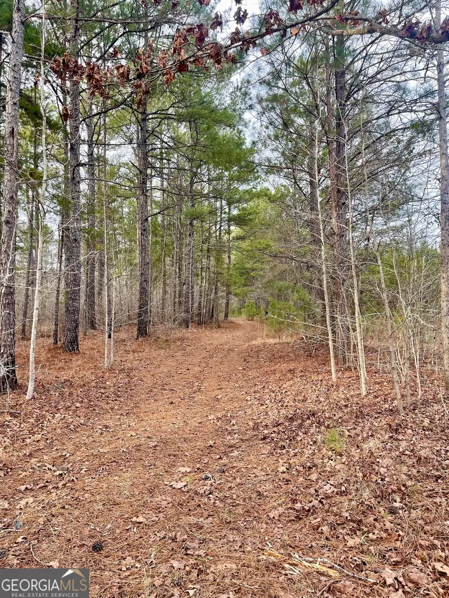 0 Padgett Road #LOT 14, Senoia, GA 30276 - #3