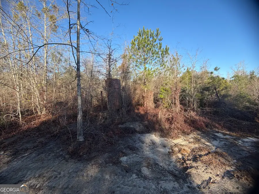 0 Hwy 19, Dublin, GA 31021 - #3